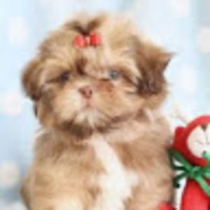 Meet your Posher, Herta